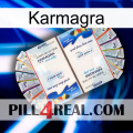 Karmagra kamagra1